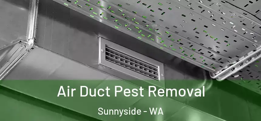 Air Duct Pest Removal Sunnyside - WA