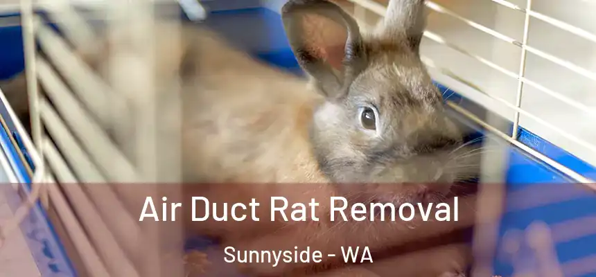  Air Duct Rat Removal Sunnyside - WA