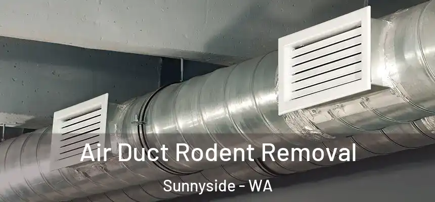 Air Duct Rodent Removal Sunnyside - WA
