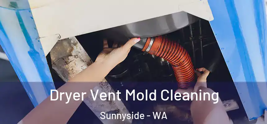 Dryer Vent Mold Cleaning Sunnyside - WA