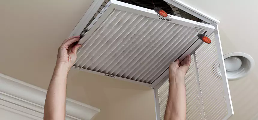 Preventive Cockroach-Proofing for Ducts in Sunnyside