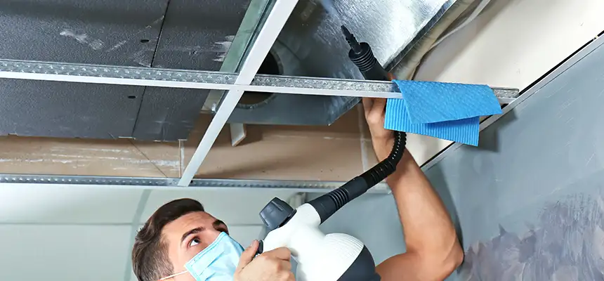 Our Air Duct Rodent Removal Services in Sunnyside, WA
