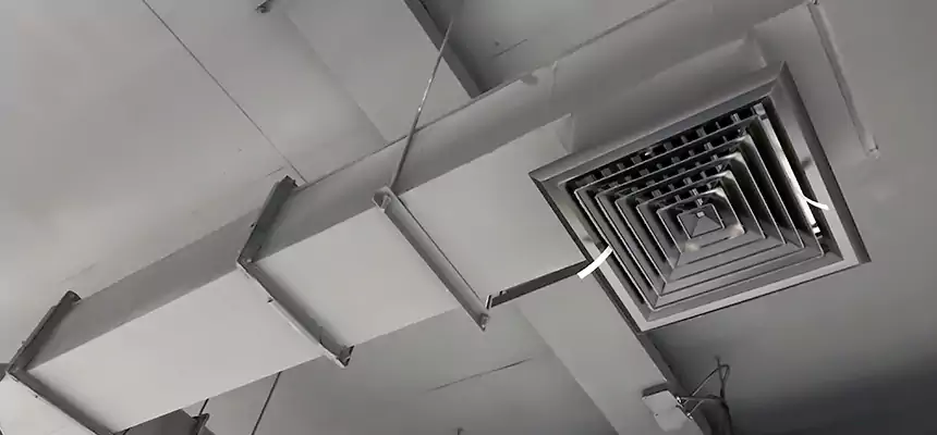 Our Rodent Droppings In Vents Services in Sunnyside, WA