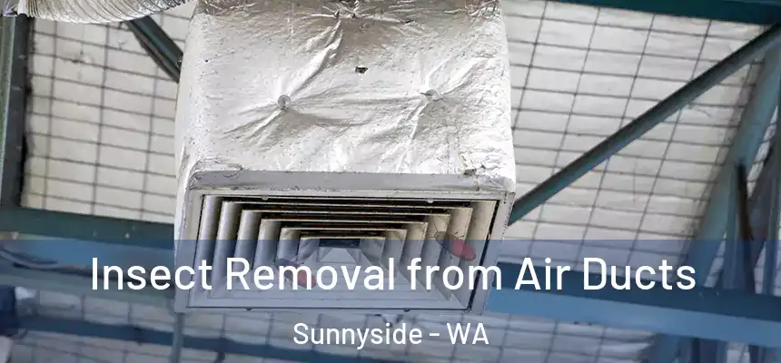 Insect Removal from Air Ducts Sunnyside - WA
