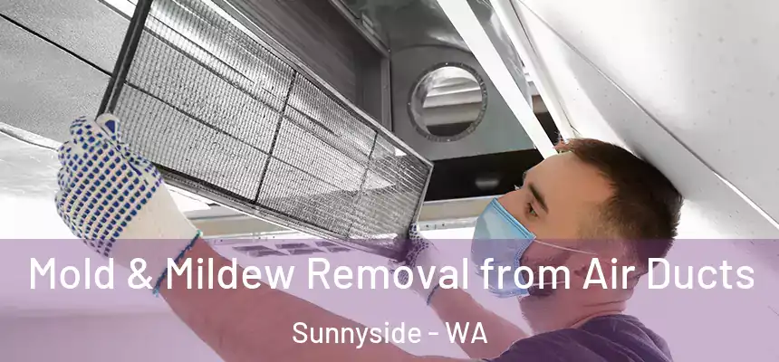 Mold & Mildew Removal from Air Ducts Sunnyside - WA