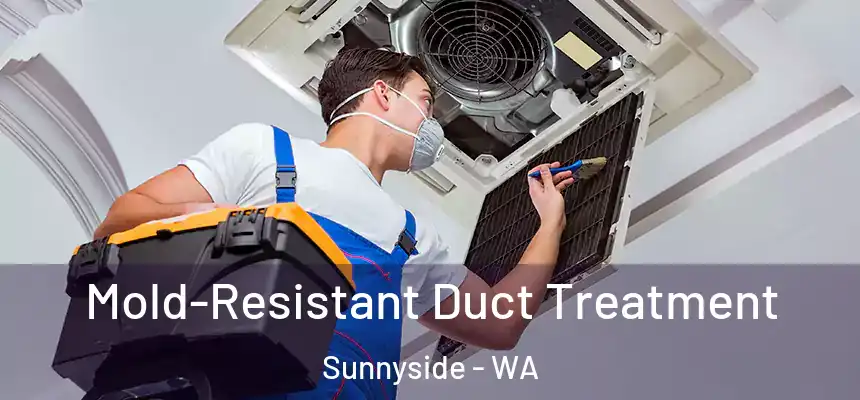  Mold-Resistant Duct Treatment Sunnyside - WA
