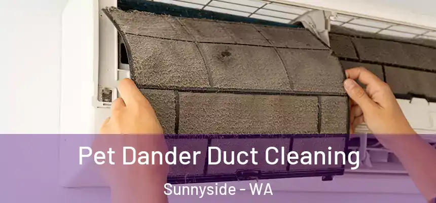 Pet Dander Duct Cleaning Sunnyside - WA