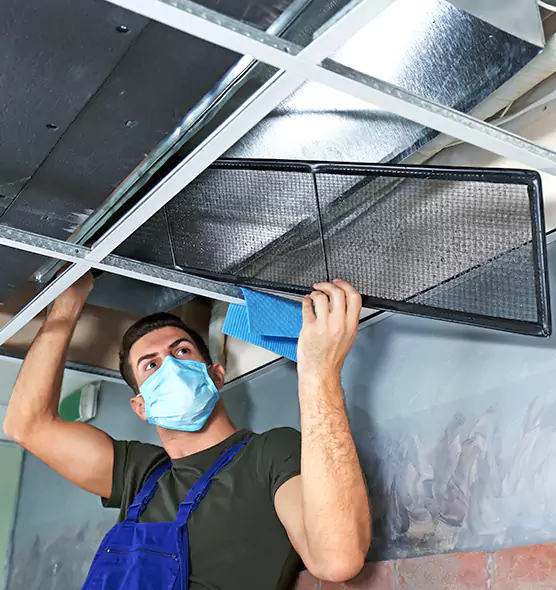 About Air Duct Bacteria Removal in Sunnyside