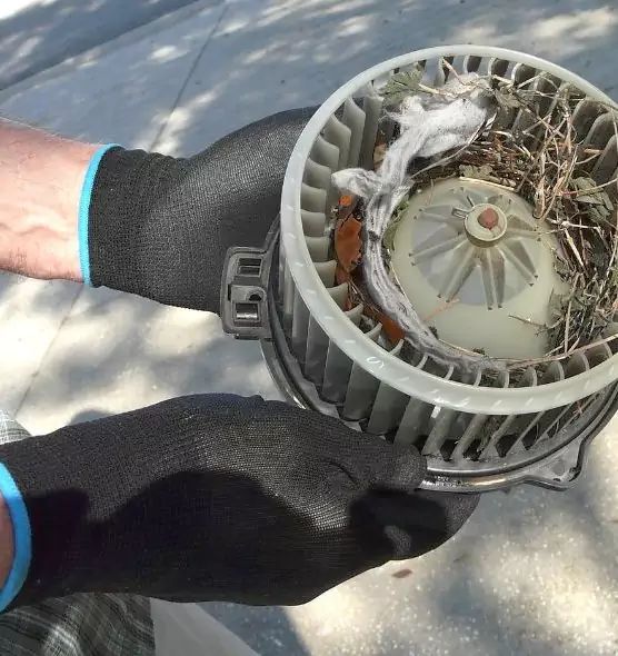 About Air Duct Mice Removal in Sunnyside, WA