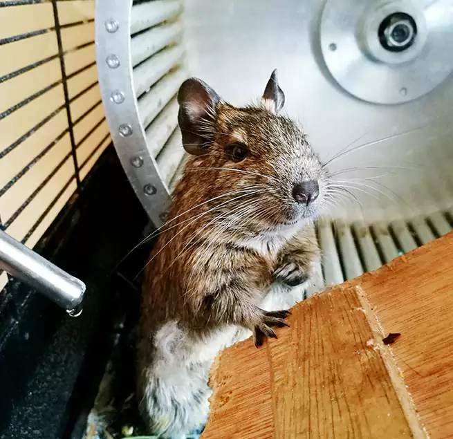 Why Homeowners & Businesses Trust Us Sunnyside, WA