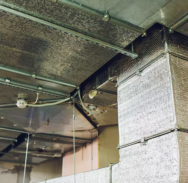 Why Homeowners & Businesses Trust Us in Sunnyside, WA?