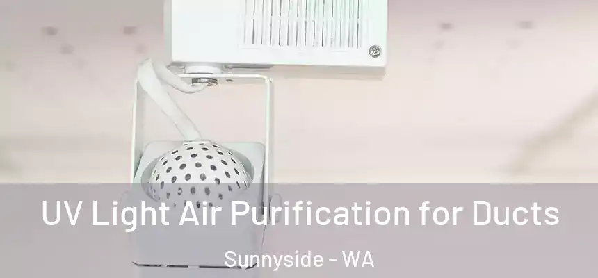 UV Light Air Purification for Ducts Sunnyside - WA